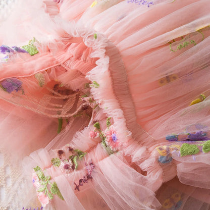 Delicate Party Prom Evening Dress Colorful Flower Embroidery Dresses Fashion Butterfly Princess Dress Birthday Princess Clothes