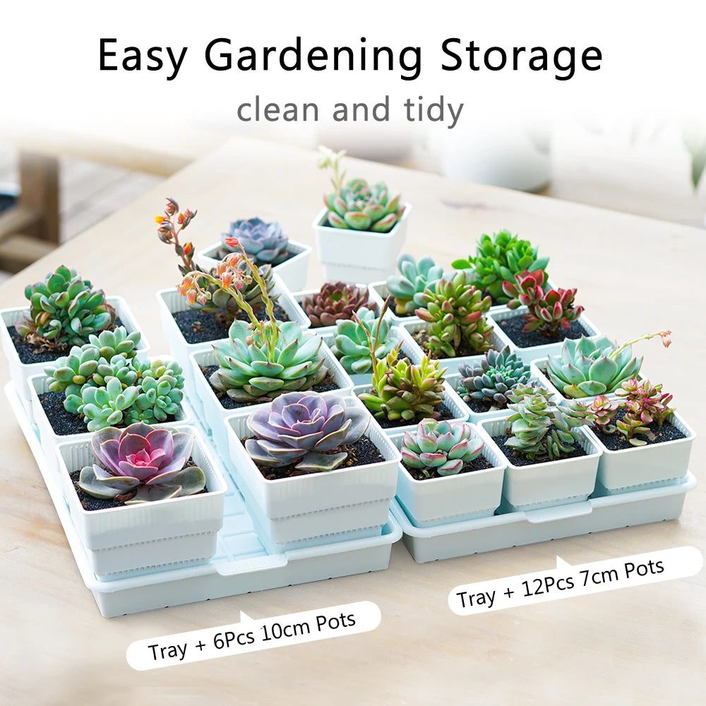 Meshpot Succulent Pots Succulent Planters with Tray Plastic Succulent Cactus Pot with holes Square Succulent Seedlings Pot Match - AMULET RING STORE