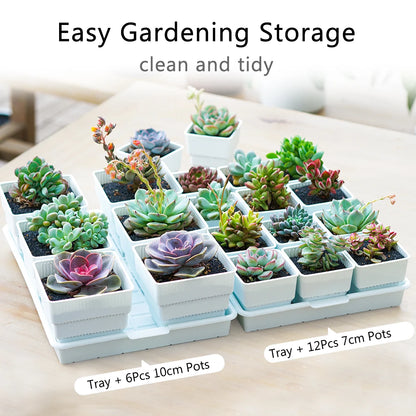 Meshpot Succulent Pots Succulent Planters with Tray Plastic Succulent Cactus Pot with holes Square Succulent Seedlings Pot Match - AMULET RING STORE
