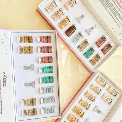 Korea Original Stayve BB Cream Glow Beginner Starter Kit Niacinamide/Peptide Essence Moisturise Face Skin Care