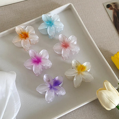 AISHG Fashion Women Flower Hair Claws Hawaiian Gradient Hair Clips Vacation Beach Style Hairpins Hair Accessories - AMULET RING STORE