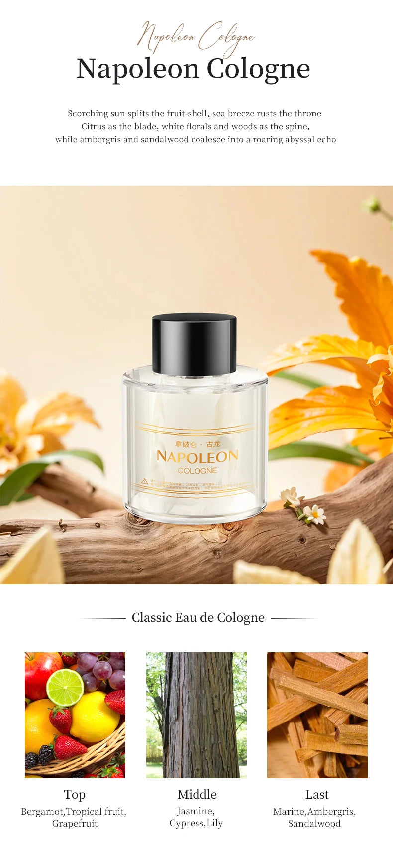 Car Diffuser Home Dual-Use Rechargeable Aromatherapy With Atmosphere Lights Smart Spray Car Air Freshener Fragrance Diffuser - AMULET RING STORE