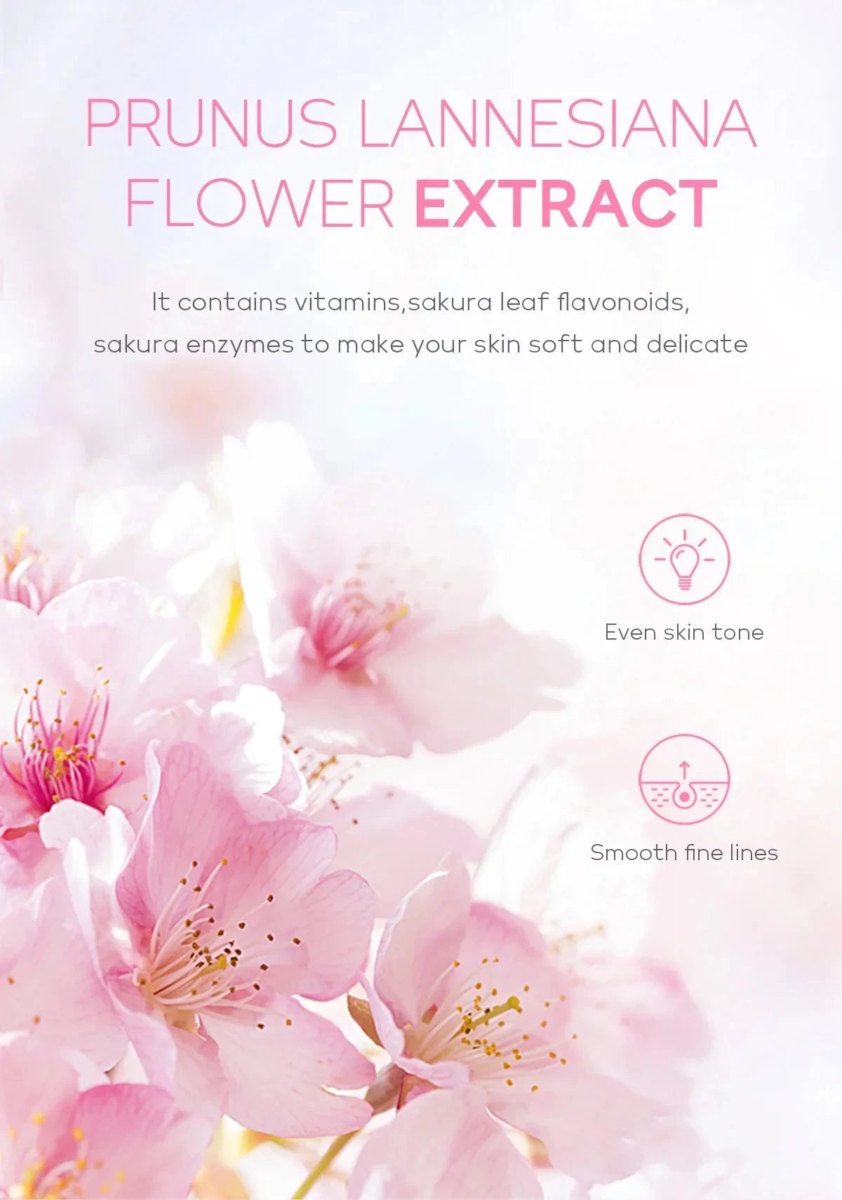 Sakura Face Deep Cleaning Exfoliating Gel Skin Care Whitening Moisturizer Repair Facial Scrub Skin Care 60g - AMULET RING STORE