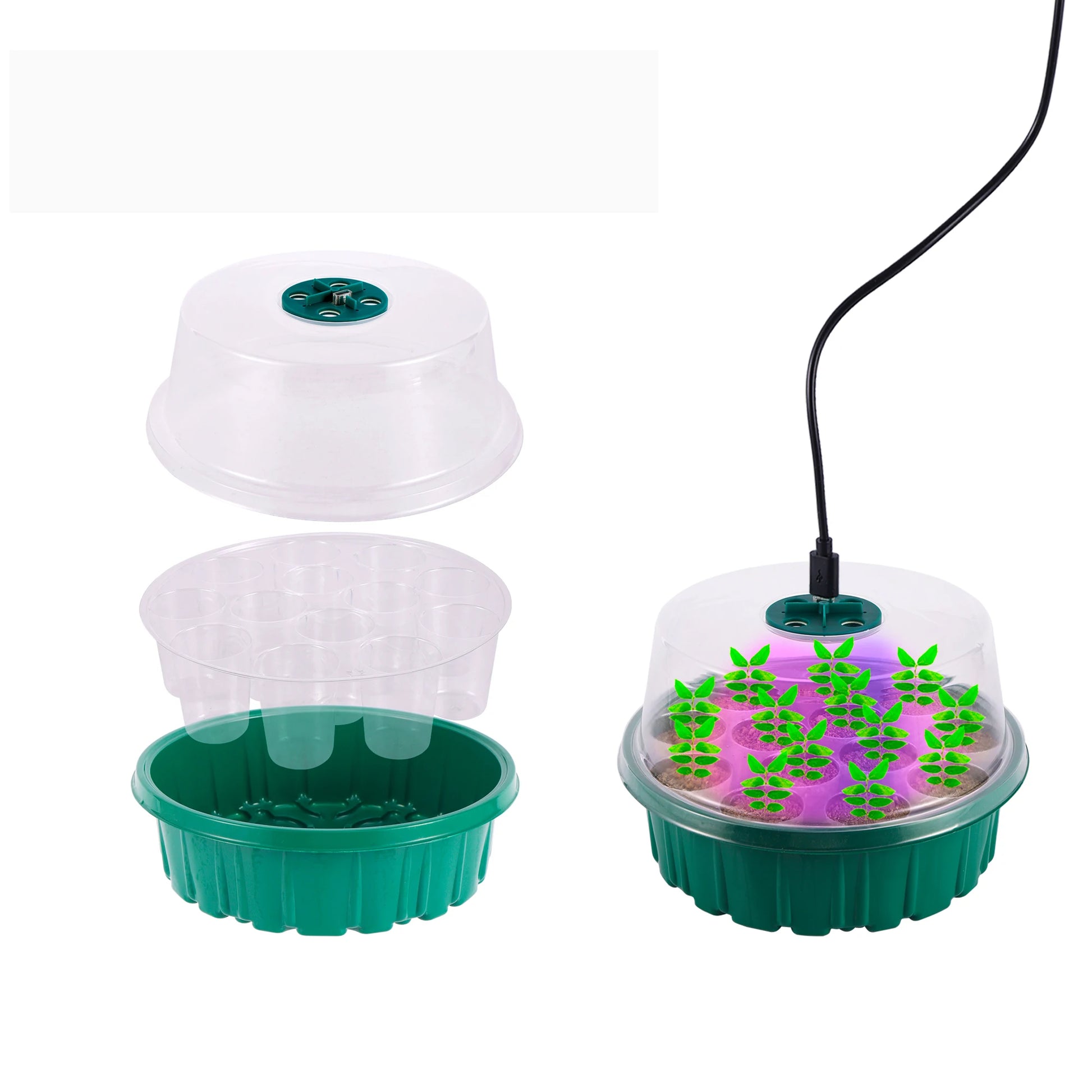 Seedling Nursery Box With LED Growing Light Seed Starter Tray Seedling Breeding Pot Garden Greenhouse Germination Planter - AMULET RING STORE
