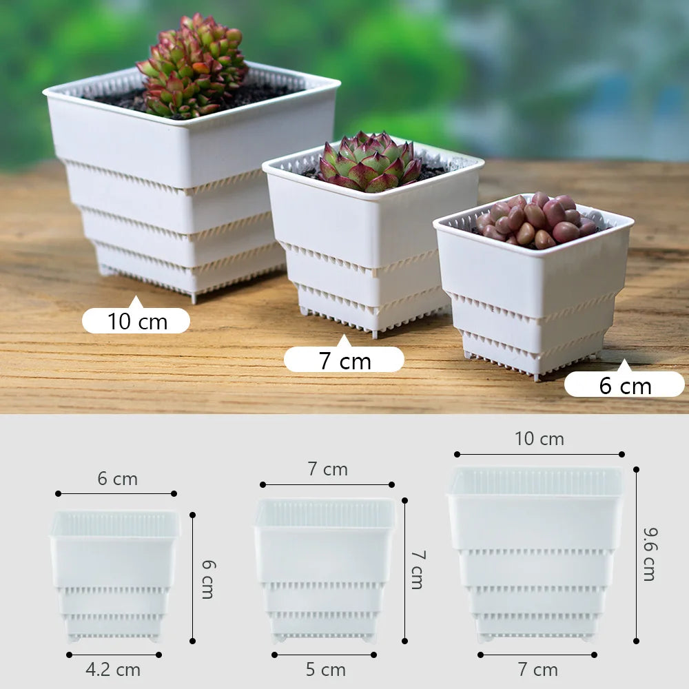 Meshpot Succulent Pots Succulent Planters with Tray Plastic Succulent Cactus Pot with holes Square Succulent Seedlings Pot Match - AMULET RING STORE