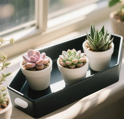 14.2'' Tall Wooden Coffin Charcuterie Board - Gothic Decor Tray